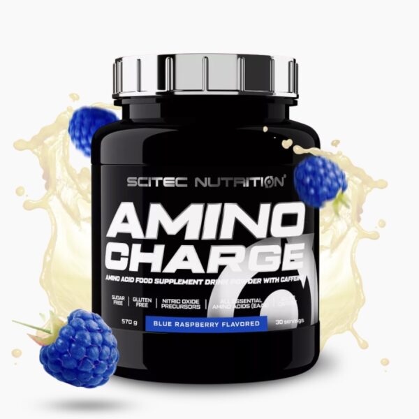 Amino Charge 570 gram